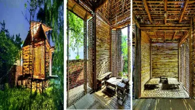 "bamboo architecture in Southeast Asia"