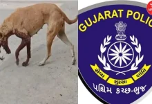 Dog killers caught: Commendable work of Bhuj Police with the help of CCTV cameras