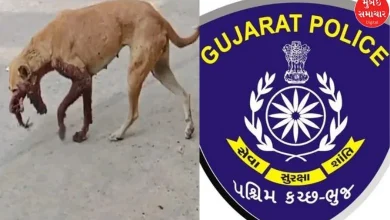 Dog killers caught: Commendable work of Bhuj Police with the help of CCTV cameras