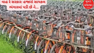 Wow, government: Thousands of bicycles are lying in scrapyards and tenders for new bicycles have been announced