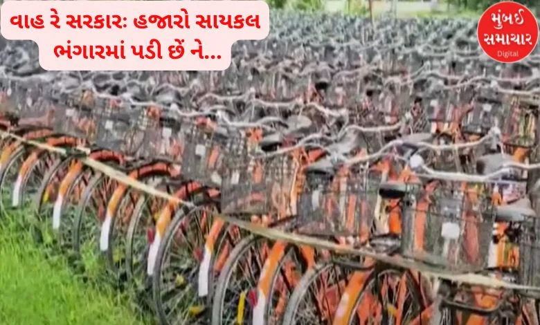 Wow, government: Thousands of bicycles are lying in scrapyards and tenders for new bicycles have been announced