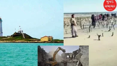 Bulldozers turn back on religious pressures spread over 4000 square feet on Pirotan Island in Jamnagar