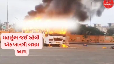 A bus carrying devotees going to Mahakumbh caught fire in Mathura, one died