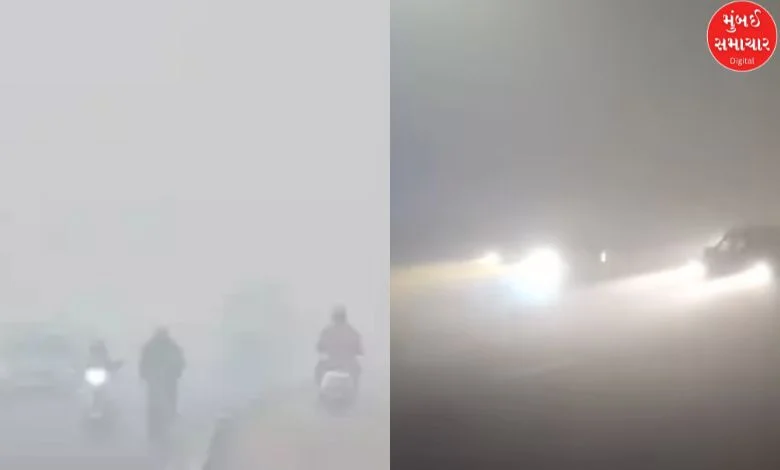 Dense fog affects normal life in Delhi; many trains, flights delayed