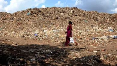 Question to the municipality: Why dispose of waste from the Deonar dumping ground?