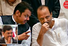 ajit pawar's decision on dhananjay munde is final devendra fadnavis