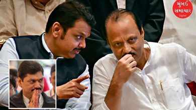 ajit pawar's decision on dhananjay munde is final devendra fadnavis