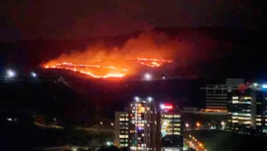 mysterious fire in dindoshi forest mumbai