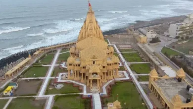 Tourists exploring Gujarat's cultural heritage and popular landmarks