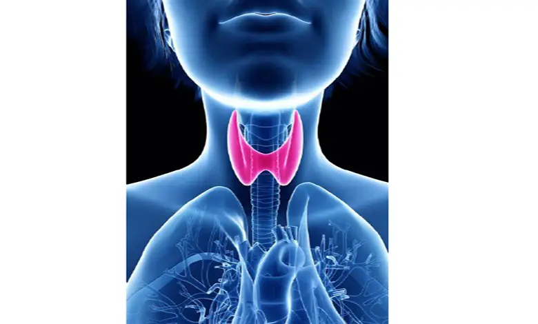 prevent-thyroid-with-dietary-changes