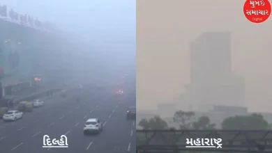 So thick that you can't see far in Delhi: Know what the weather is like in Gujarat-Maharashtra