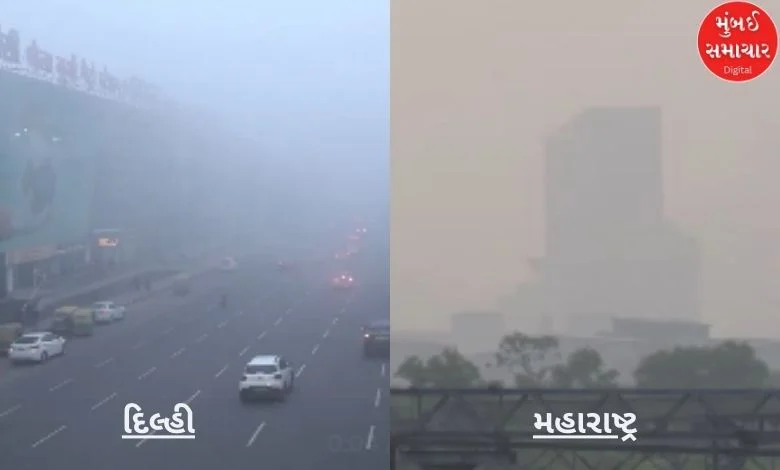 So thick that you can't see far in Delhi: Know what the weather is like in Gujarat-Maharashtra