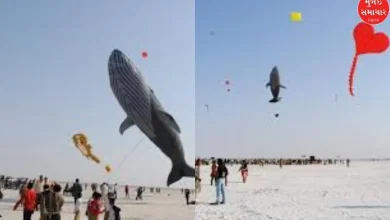 Tourism: White desert below and colorful sky above in Dhordo: Kite Festival begins today