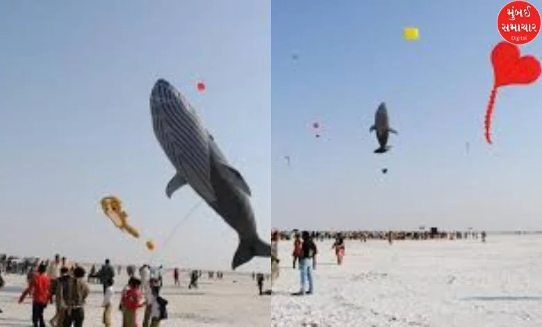 Tourism: White desert below and colorful sky above in Dhordo: Kite Festival begins today