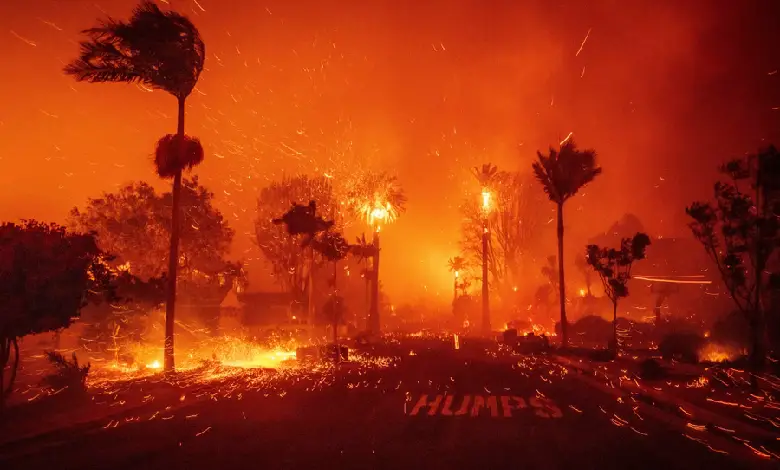 los angeles occurrence  tree