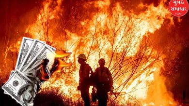 Los Angeles wildfires destroy 40,000 acres with massive financial loss