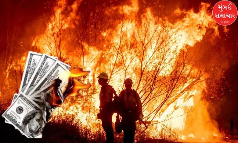 Los Angeles wildfires destroy 40,000 acres with massive financial loss