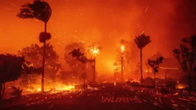 Los Angeles wildfire with smoke rising