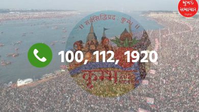 Important numbers to keep handy during Mahakumbh 2025