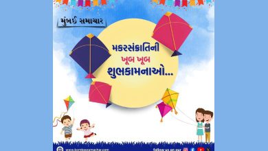 makarsankranti celebration in gujarat