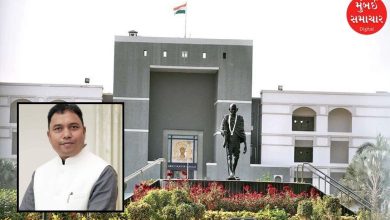 Petition against Gajendrasingh Parmar in Gujarat High Court