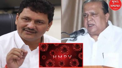 Public Health Minister Prakash Abitkare and Medical Education Minister Hasan Mushrif urge caution regarding HMPV.