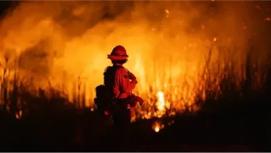 Los Angeles Wildfires