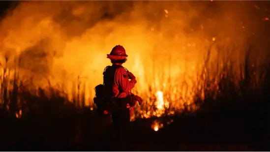 Los Angeles Wildfires