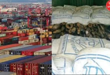 Ahmedabad DRI intercepts 35 containers of banned red soil being exported from Kandla to China