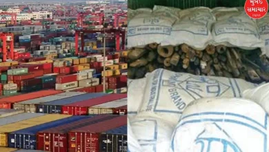 Ahmedabad DRI intercepts 35 containers of banned red soil being exported from Kandla to China