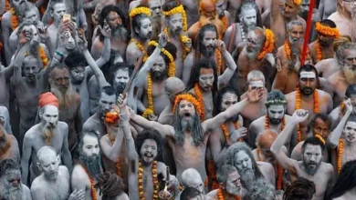 Where do these Naga Sadhus go after the Kumbh Mela ends? A peek into their mysterious world...