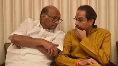 Sharad Pawar slams Fadnavis and Samant over Davos summit and says about Uddhav Thackeray that...