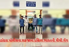 Vadodara Police arrest 12 thieves from a notorious gang of South India, solve 25 crimes