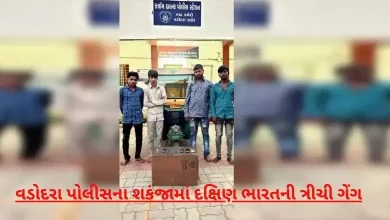 Vadodara Police arrest 12 thieves from a notorious gang of South India, solve 25 crimes