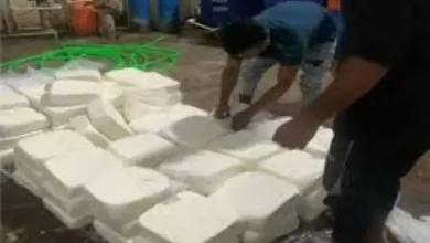 1500 kg of adulterated cheese seized in Ahmedabad