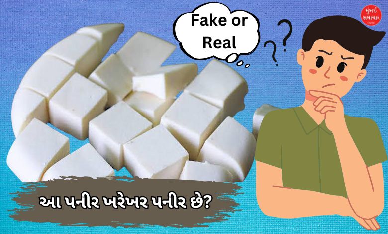 Analogue Paneer is not bully  for health