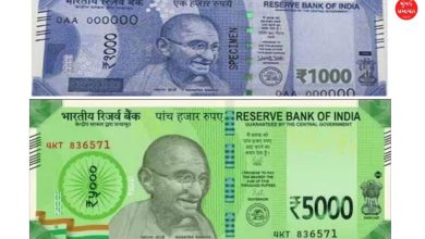 Focus Fact Check on RBI's Rs 5000 Note Claim