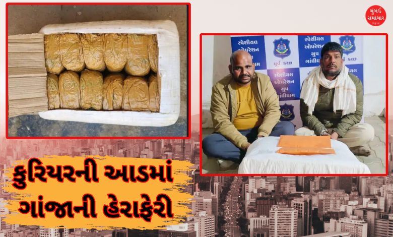 Ganja Smuggling accused arrested with 12 kg of ganja successful  Gandhidham