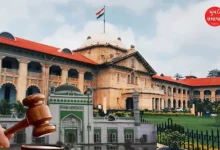 High Court orders ASI to clean Jama Masjid in Sambhal