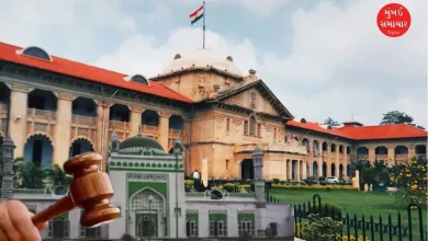 High Court orders ASI to clean Jama Masjid in Sambhal