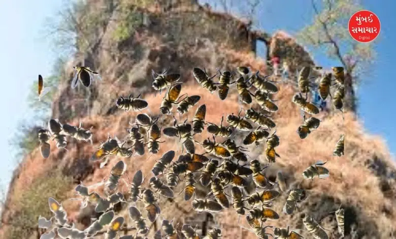 Karnala Fort bee attack incident