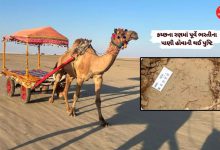 Kutch rann have water thousand years ago details inside