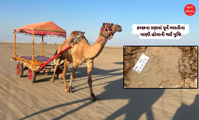 Kutch rann have water thousand years ago details inside