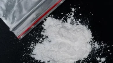 Mephedrone drugs worth Rs 10.08 crore seized from Dadar guest house