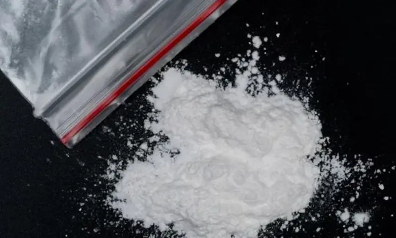 Mephedrone drugs worth Rs 10.08 crore seized from Dadar guest house