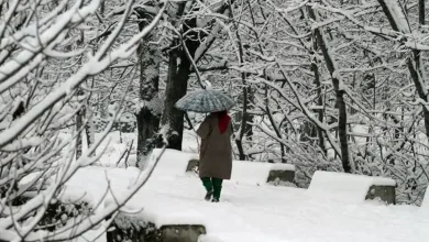 Snowfall in Kashmir and Himachal, light rain in hilly areas