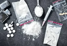 Three arrested with mephedrone drugs worth Rs 2.21 crore from a flat in Thane