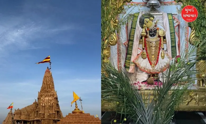 Vasant Panchami celebration at Dwarka Jagat mandir