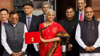 What color saree is the Finance Minister wearing today?