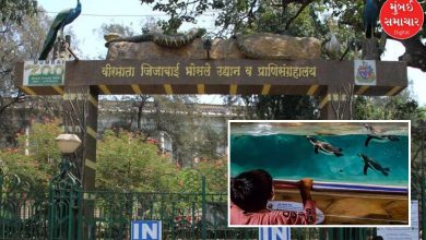 mumbai byculla zoo aquarium plan thwarted